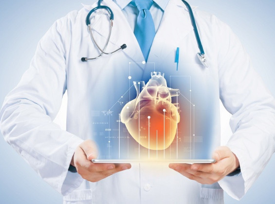 Heart And Vascular